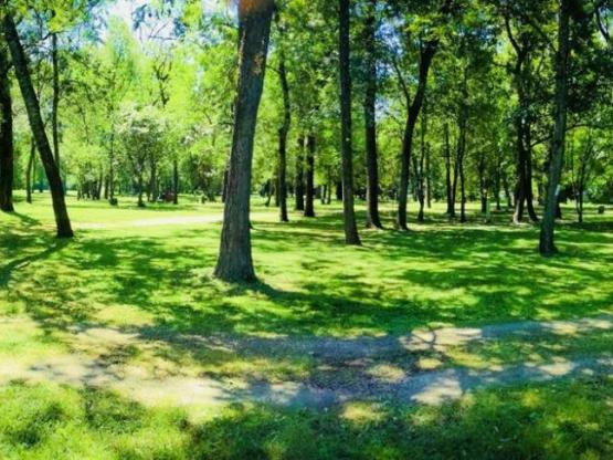 Pitch Trekking Package by foot or by bike with tent