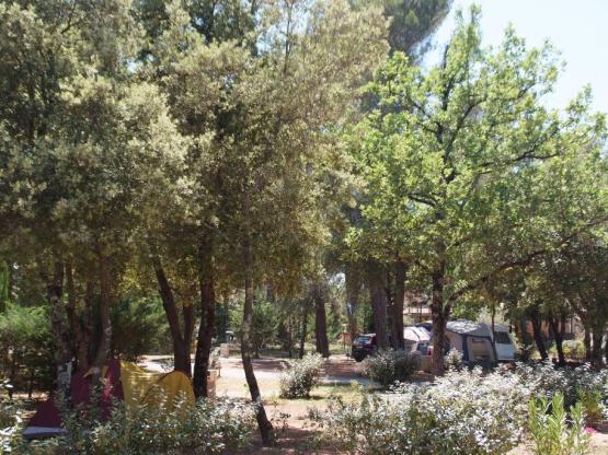 Parcela Privilège (tienda, caravana, autocaravana / 1 coche / Electricidad 120A) + vista XXL