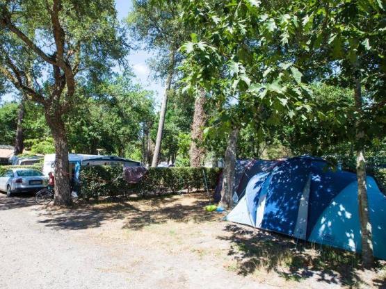 Pakket: standplaats + 1 voertuig