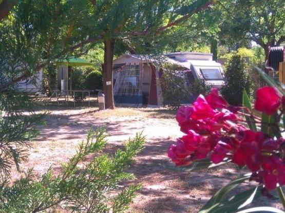 Forfait: Parcela + coche + tienda o caravana + electricidad