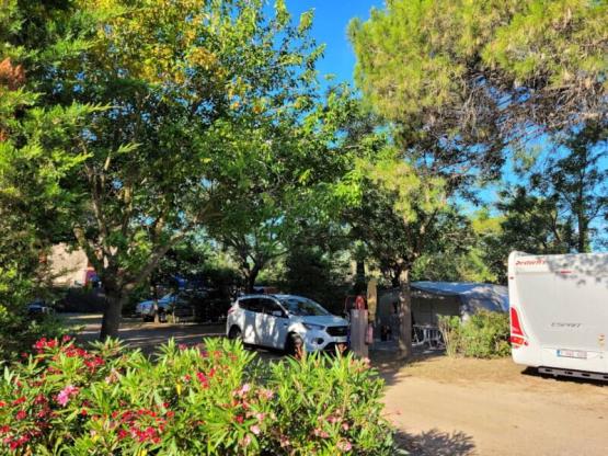 Forfait: Parcela + coche + tienda o caravana + electricidad