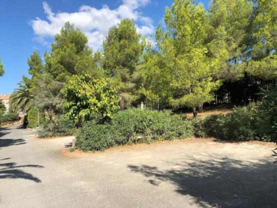 PARCELA DE CAMPING + LUZ (6A)