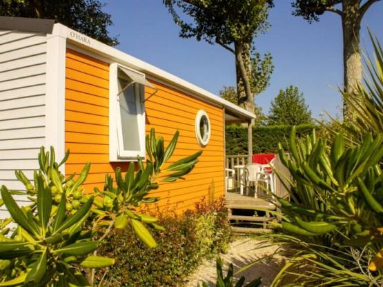 Mobilhome GOYAVE 25m² - Terraza semi-cubierta - 2 habitaciones