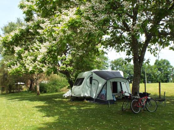 Camping Pitch including 6 amp electricity (TCMD)