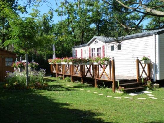 ALBIZIA - 37 m² - Prestige 3 Zimmer  - N° 16