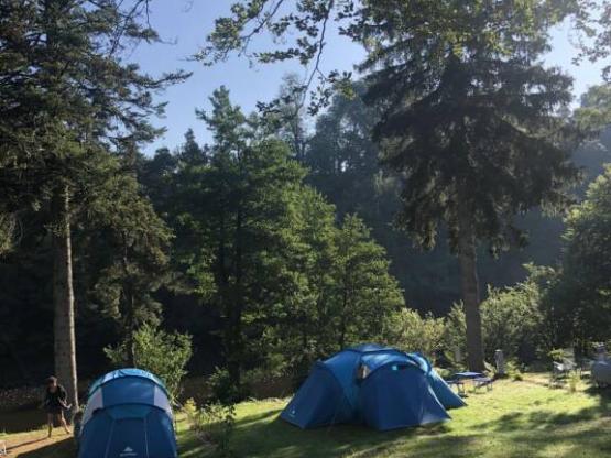 Parcela Confort (tienda, caravana, autocaravana / 1 coche / Electricidad 10A)