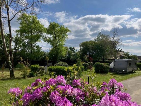 Parcela Confort (tienda, caravana, autocaravana / 1 coche / Electricidad)