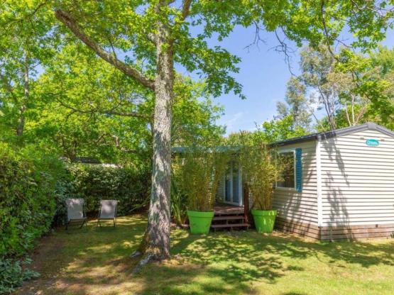 OLEA - 31 m² - 3 bedrooms with covered Terrace - N° 28