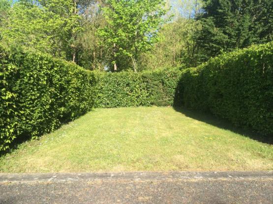 Parcela + 1 coche + tienda, caravana o autocaravana + electricidad