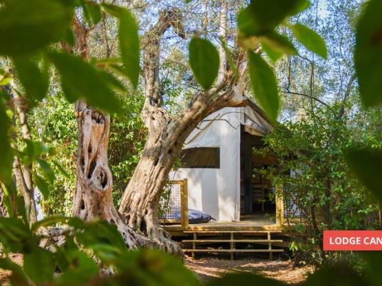 Lodge CANNELLE 21m² (2 habitaciones)