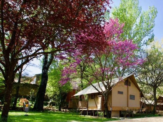 Lodge Prairie 30m² + 15m² - 2 habitaciones