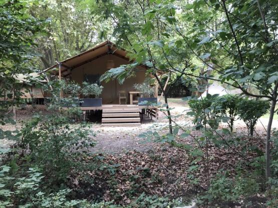 Lodge Chèvrefeuille 34m² - 3 habitaciones