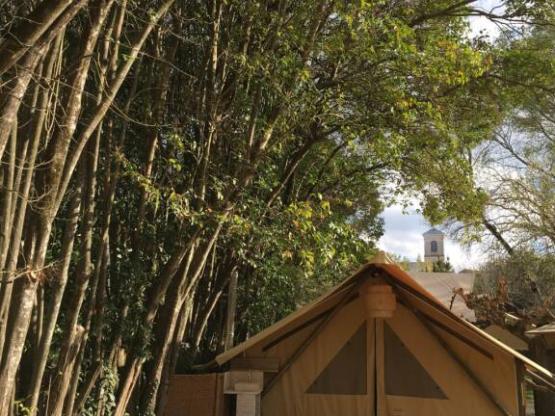 Lodge Central 24m² -  1 habitación