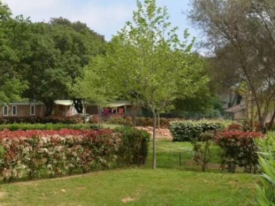 Parcela Confort + coche electrcidad 10A