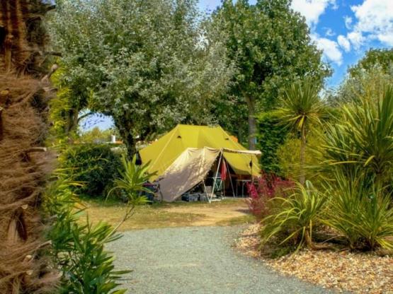 PAUSCHALE CONFORT (Stellplatze : Zelt, Wohnwagen oder  Wohnmobil + 1 Auto + Strom 10 A)