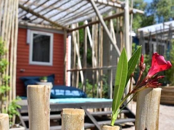 Mobilhome TOI & MOI18m² - TRENDY RANGE