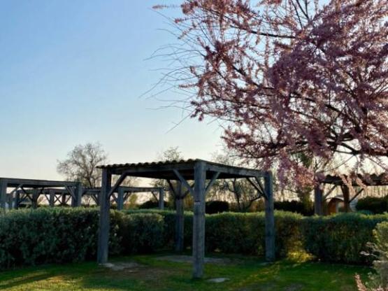 Parcela de camping con cenador