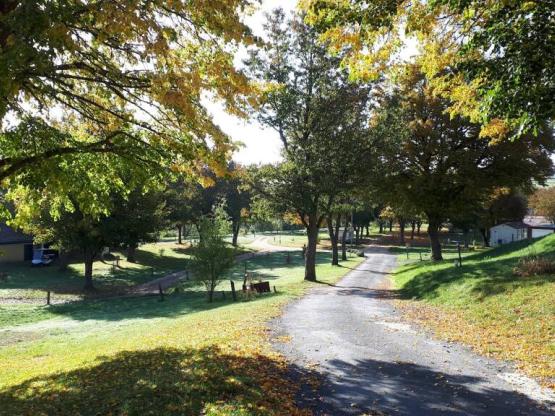 Pakket: standplaats + 1 voertuig + tent of caravan