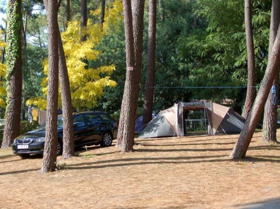 Parcela Confort + Electricidad  10A