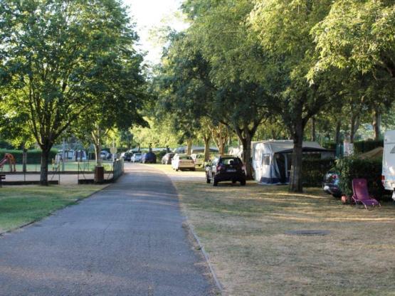 Parcela Confort (1 tienda o 1 caravana, o 1 autocaravana / 1 coche / Electricidad)