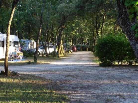 Parcela Confort (tienda, caravana, autocaravana / 1 coche / Electricidad 10A)