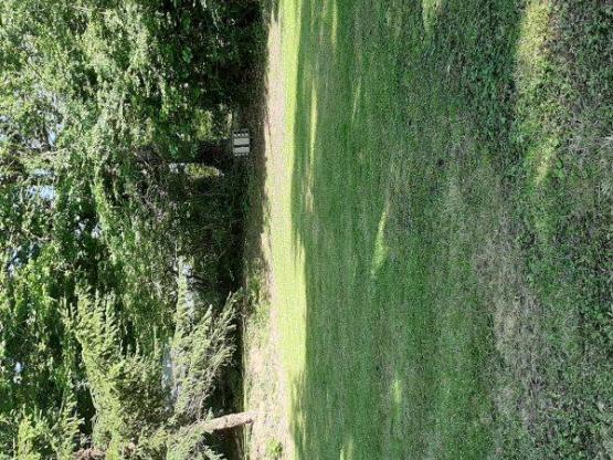 Parcela tienda + Electricidad 6A