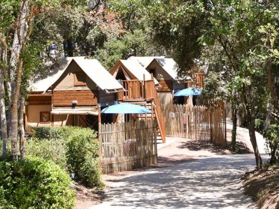 MAXI Cabaña en los árboles - 30m² -  Alojamiento insólito