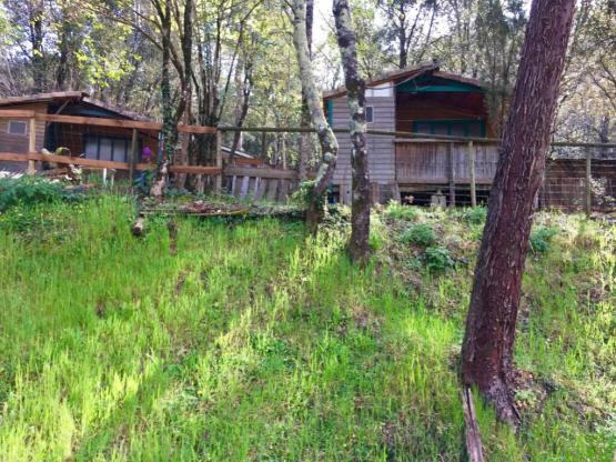 Chalet Érable et Pêcher - 2 habitaciones