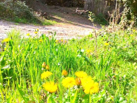 Chalet Sapin et Genêt - 2 habitaciones