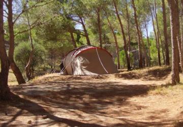 Camping Le Bois de Pins