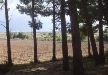Camping Le Bois de Pins