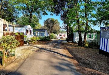 Flower Camping Les Loges