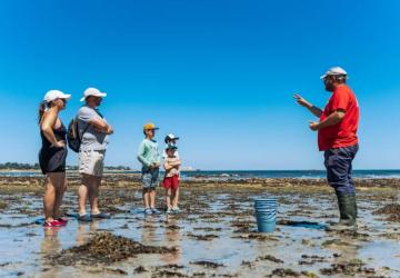 Camping Baie de Saint Pol