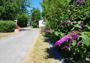 Camping La Ferme de Lann Hoedic