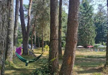 Camping Les Sapins de Correze