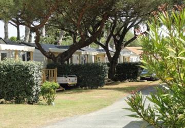 Camping Baie d'Aunis