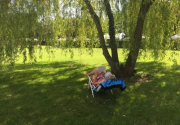 Flower Camping Les Granges