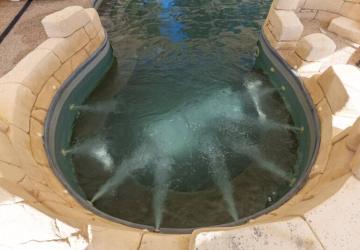 Flower Camping Les Granges