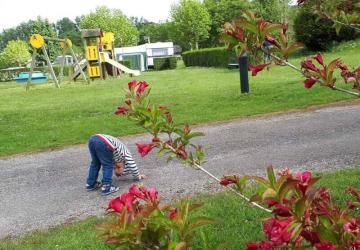 Flower Camping Des 2 Rivières