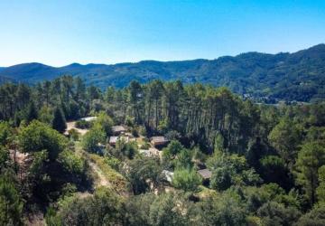 Bivouac nature - Cévennes