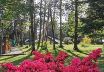 Camping Les Sapins de Correze