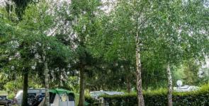 Camping Onlycamp Domaine de l'Astrée